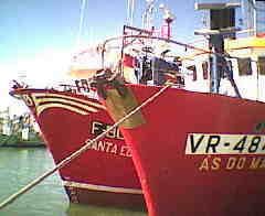 portimao.25.jpg