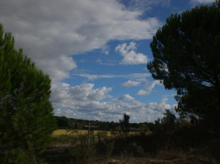5406892.jpg
