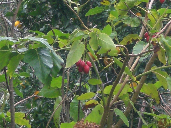 17232589zn.jpg