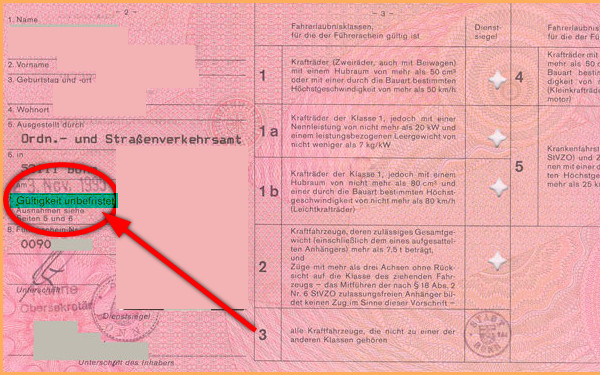 20232827nz.jpg